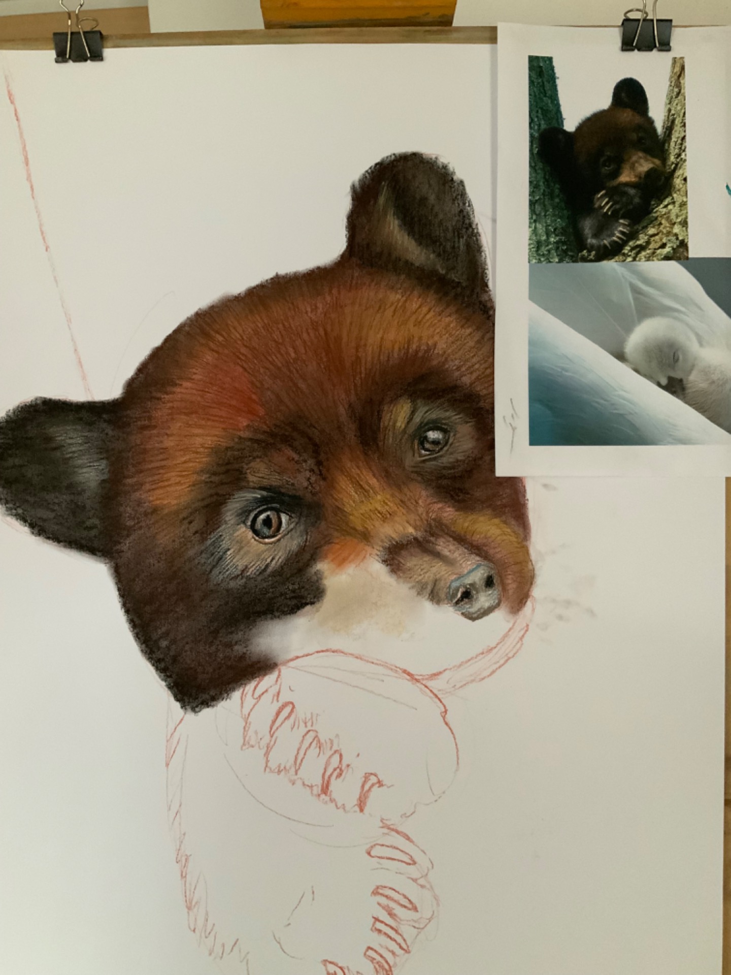 Malba pastely, v procesu - Medvídě