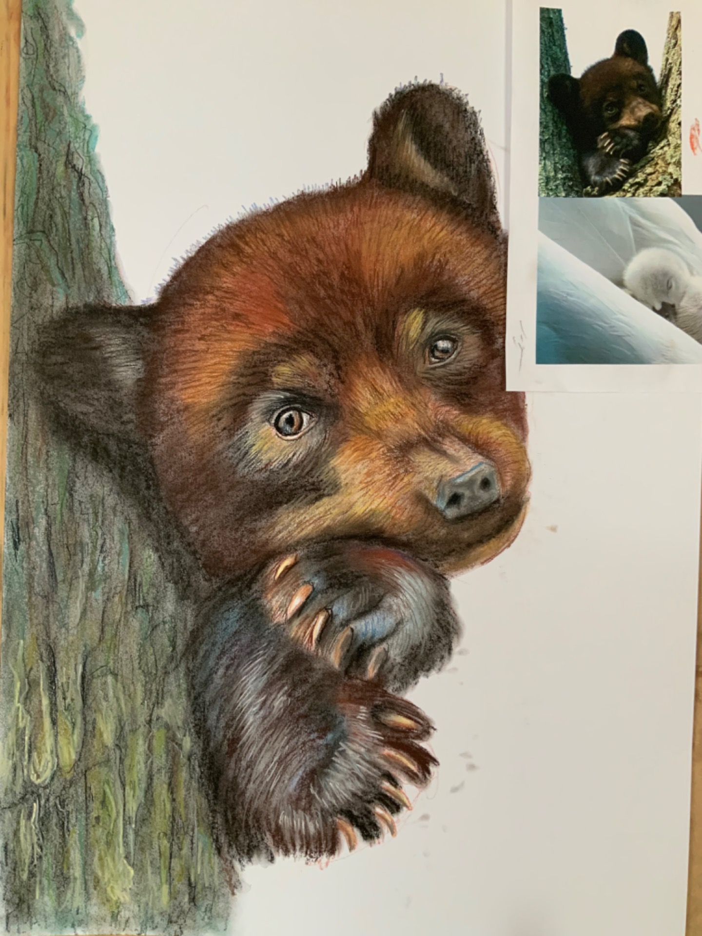 Malba pastely, v procesu, čumák už je opravený - Medvídě